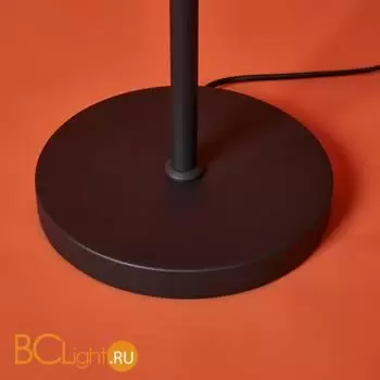 Торшер Freya Aqua FR5553FL-L20B - Фото 5