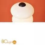 Торшер Freya Aqua FR5553FL-L20B - Фото 9