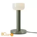 Настольный светильник Freya Barries FR6185TL-L5GN