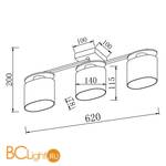 Потолочная люстра Freya Bice FR5101-CL-03-CN - Схема