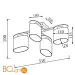 Потолочная люстра Freya FR5101-CL-04-CN - Схема