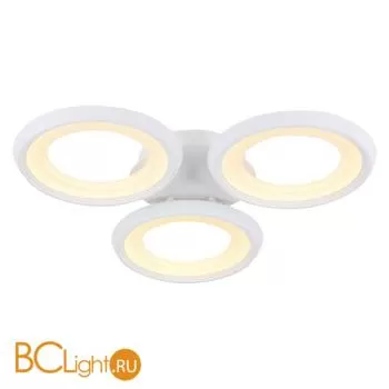 Потолочный светильник Freya Blis FR6010CL-L51W - Фото 0