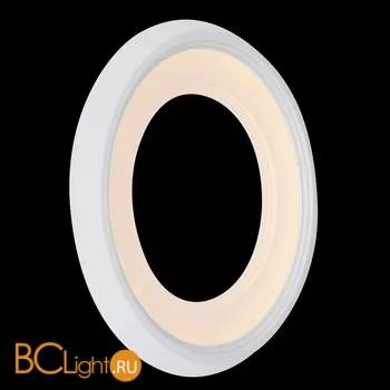 Настенный светильник Freya Blis FR6010WL-L18W