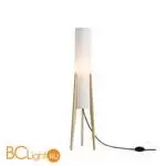 Торшер Freya Bliss FR5543FL-01T