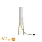 Торшер Freya Bliss FR5543FL-01T - Фото 1