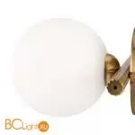 Бра Freya Blossom FR5259WL-01BS - Фото 0