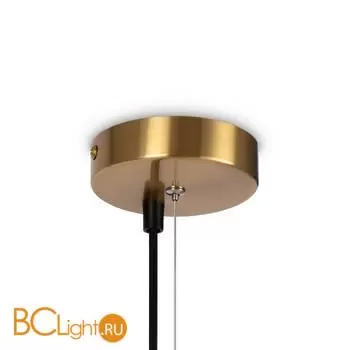 Подвесной светильник Freya Blossom FR5259PL-04BS - Фото 7