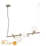 Подвесной светильник Freya Blossom FR5259PL-04BS - Фото 6