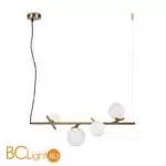 Подвесной светильник Freya Blossom FR5259PL-04BS