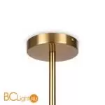 Подвесной светильник Freya Blossom FR5259PL-02BS - Фото 6