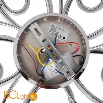 Потолочный светильник Freya Blossom FR6017CL-L60CH - Фото 5