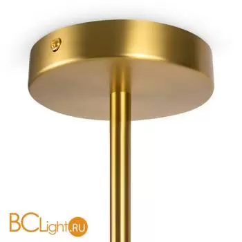 Подвесной светильник Freya Branches FR5253PL-06BS - Фото 5