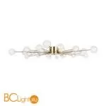 Люстра Freya Celebrity FR5242CL-24BS1