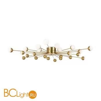 Люстра Freya Celebrity FR5242CL-24BS