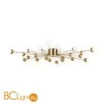 Люстра Freya Celebrity FR5242CL-24BS