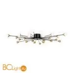 Люстра Freya Celebrity FR5242CL-24B