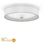 Потолочный светильник Freya Cells FR10011CL-L24W