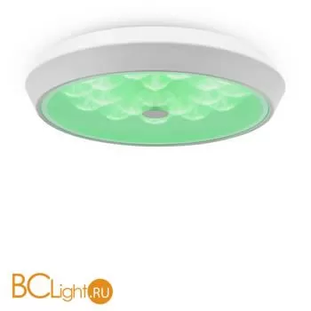 Потолочный светильник Freya Cells FR10012CL-L24W - Фото 1