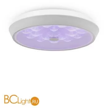 Потолочный светильник Freya Cells FR10012CL-L24W - Фото 2