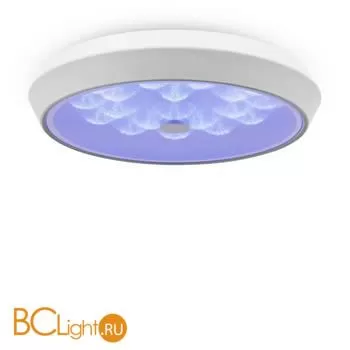 Потолочный светильник Freya Cells FR10012CL-L24W - Фото 3