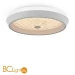 Потолочный светильник Freya Cells FR10012CL-L24W - Фото 7