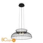 Подвесной светильник Freya Citrus FR5398PL-L6B