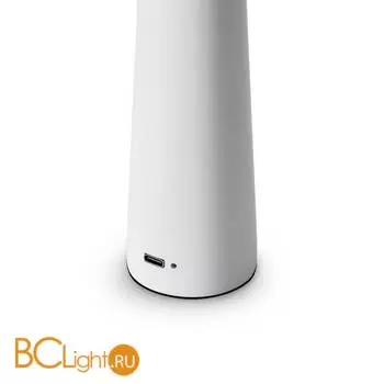 Настольный светильник Freya Clam FR6188TL-L3W - Фото 6