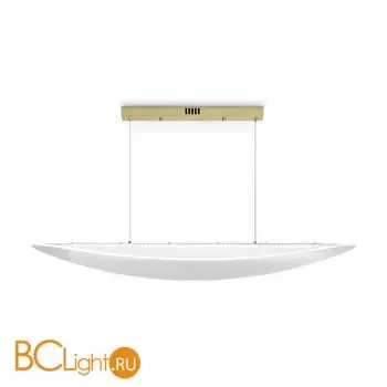 Подвесной светильник Freya Cloud FR5441PL-L40G