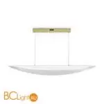 Подвесной светильник Freya Cloud FR5441PL-L40G