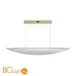 Подвесной светильник Freya Cloud FR5441PL-L40G - Фото 0