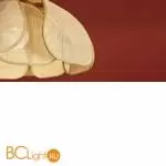 Подвесной светильник Freya Cocoon FR5529PL-01B - Фото 15