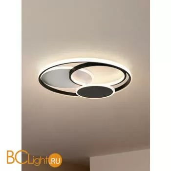 Потолочный светильник Freya Cosmic Market FR10015CL-L94WB