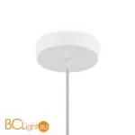 Подвесной светильник Freya Cottage new FR5405PL-01W - Фото 3