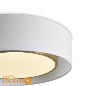 Потолочный светильник Freya Cozy FR6170CL-L52BS - Фото 2