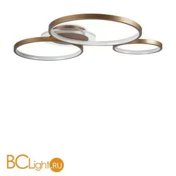 Потолочный светильник Freya Crate Market FR10014CL-L87G - Фото 5