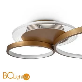 Потолочный светильник Freya Crate FR10014CL-L63G - Фото 6