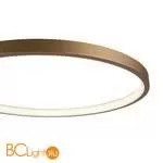 Потолочный светильник Freya Crate FR10014CL-L63G - Фото 5