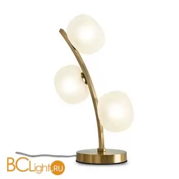 Настольный светильник Freya Donuts FR5444TL-03BS