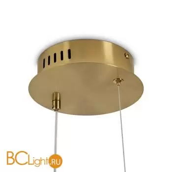 Подвесной светильник Freya Eclat FR6182PL-L14BS - Фото 5
