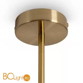 Потолочный светильник Freya Essence FR5490CL-01BS - Фото 5