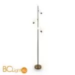 Торшер Freya Evidence FR5372FL-03BS