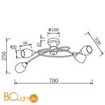 Потолочная люстра Freya Flash FR5103-CL-04-BL - Схема