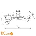 Потолочная люстра Freya Flash FR5103-CL-04-YE - Схема