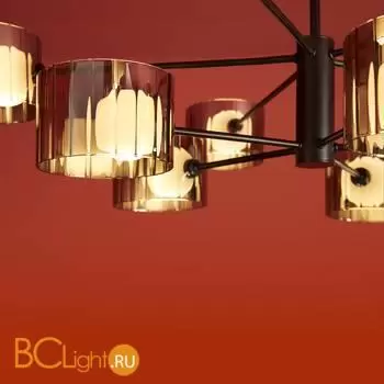 Потолочный светильник Freya Flight FR5544CL-10B - Фото 8