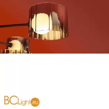 Потолочный светильник Freya Flight FR5544CL-10B - Фото 13