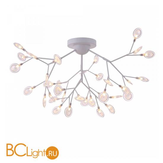 Потолочный светильник Freya Florencia FR5049CL-36W
