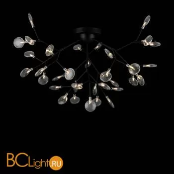 Люстра Freya Florencia FR5049CL-36B - Фото 5