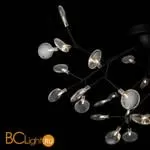 Люстра Freya Florencia FR5049CL-36B - Фото 4