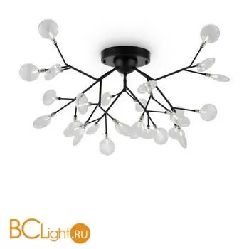 Люстра Freya Florencia FR5049CL-27B