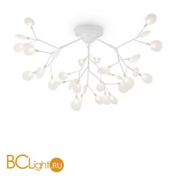 Люстра Freya Florencia FR5049CL-36W1